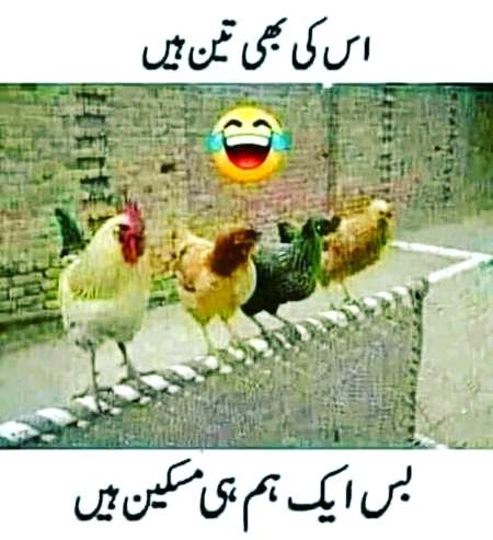 When I feel Single myself