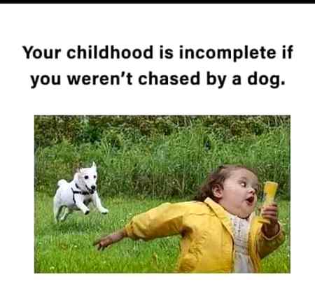 Have you ever chased by a dog....