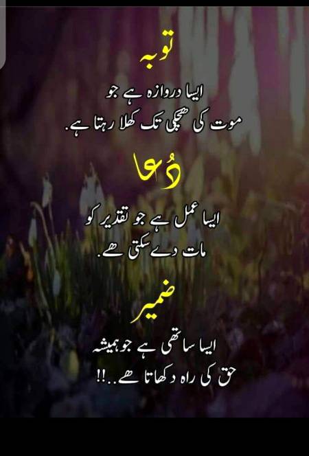 Allah rahmat kary🙂..😴