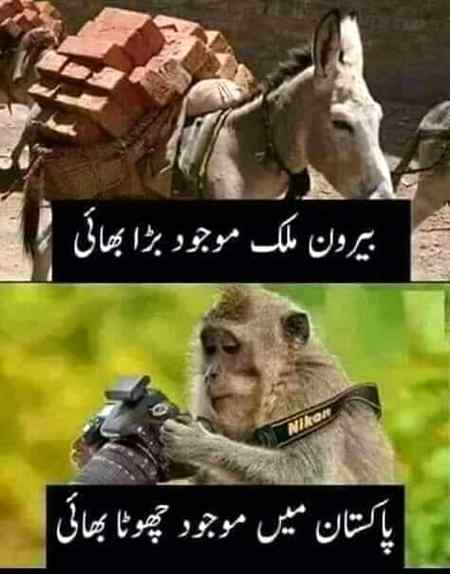 Sending by fareed ahmed shaikh