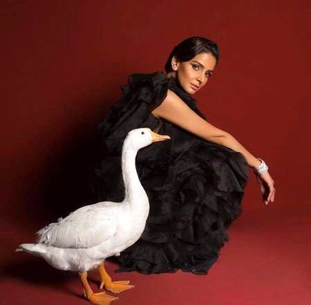 Pakistani Celebs image