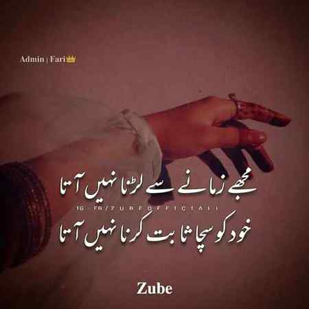 •||•^°°°°^•||•