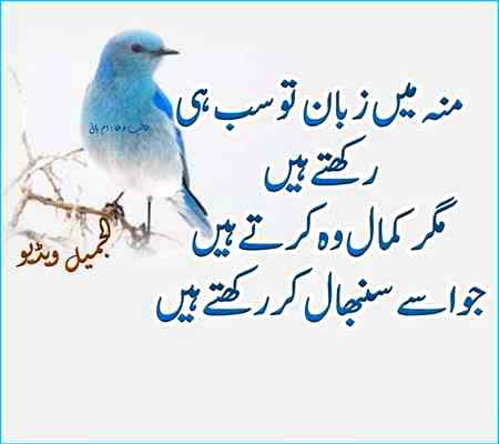 Zaban hi hy jo Kisi ko zmeen sy arsh aur Kisi ko arsh sy zmeen py ly ja skti hy plz qabo rkho