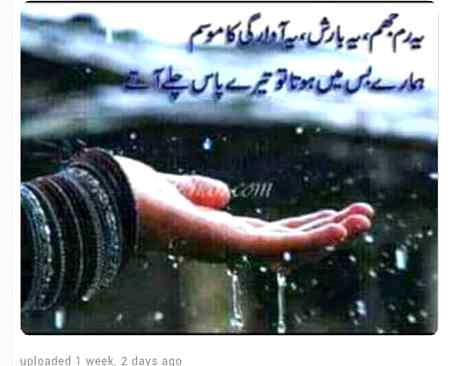 Happy Rainy Evening 😍🌧️🌧️💕