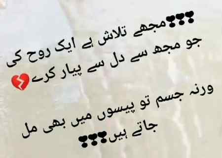 😍😍Dil sy pyar😍😍