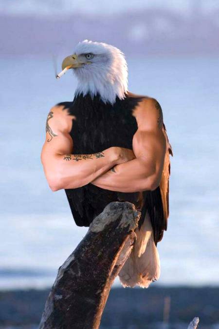Bird with Arms
