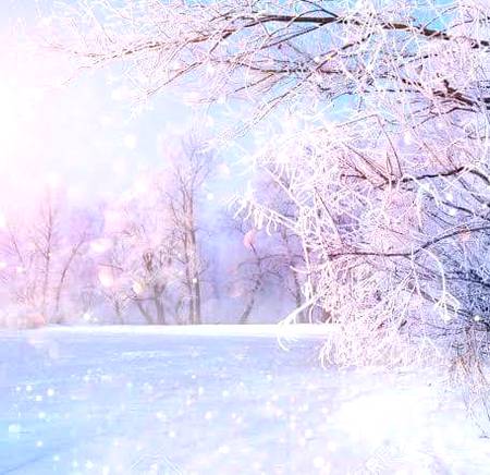 Cherry blossom 💓💓