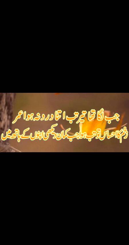 🌹❤🌹❤❤❤🌹❤🌹❤❤🌹❤🌹❤🌹