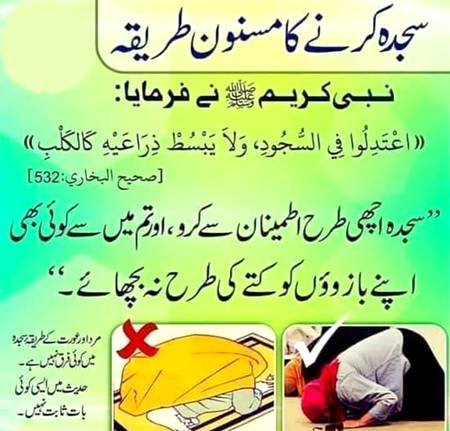سجدہ کرنے کا مسنون طریقہ