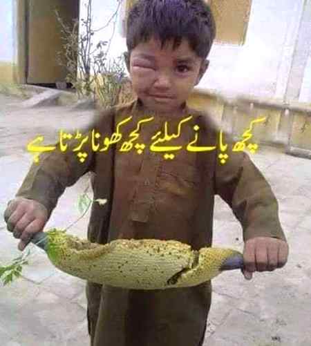 Hlo.friends