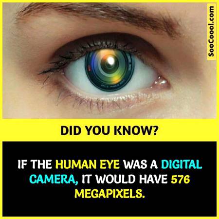 DID YOU KNOW??