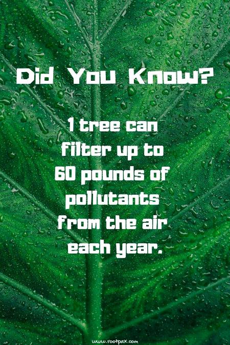 ___Fact knowledge___