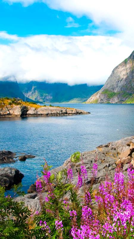 یہ کچے راستے خود ہی بن جاتے ہیں۔ کسی کو بنانے نہیں پڑتے .لوگ گزرتے ہیں پھر پیچھے آنے والوں کے لیے راستہ چھوڑے جاتے ہیں نہ کوئی سڑک نہ کوئی سگنل نہ زیبرہ کراسنگ پھر بھی رستہ تو ہے ۔ یہ راستے یوں ہی نہیـں بن جاتے چلنے والوں کی مشقت کا صلہ ہوتے ہیں.