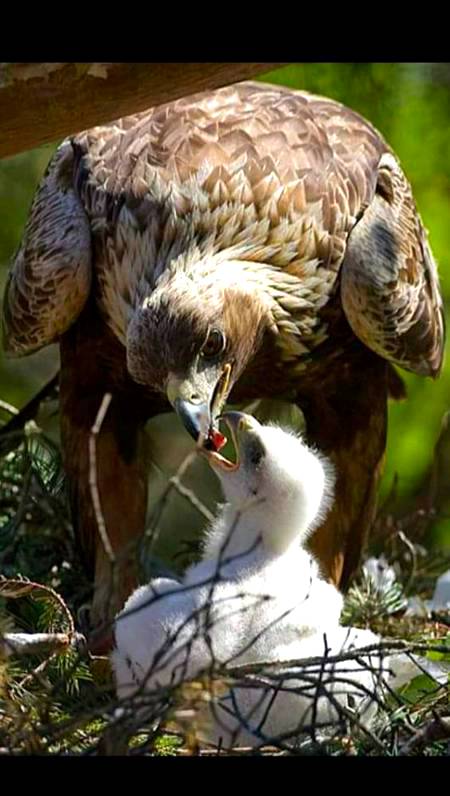 Cute & Amazing click!