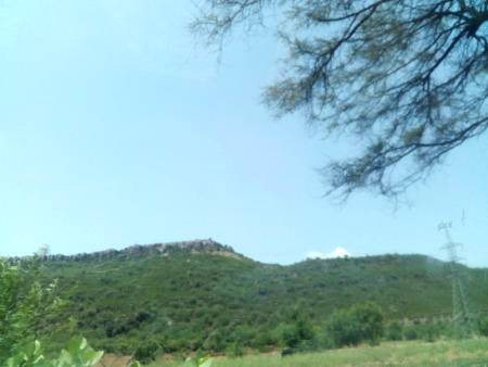 nice na yaaro
