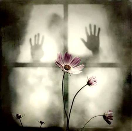 میں وہ محرومِ عنایت ہوں کہ جس نے تجھ سے ملنا  چاہا تو بچھڑنے  کی  وبا  پھوٹ  پڑی 💔