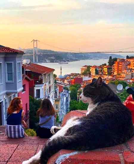 ☆ Istanbul  | Turkey ☆