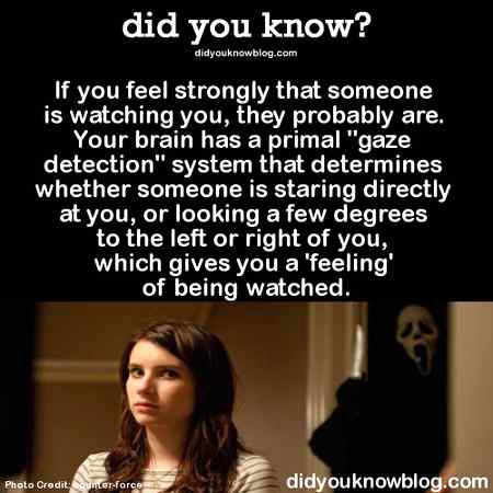 Did you know???