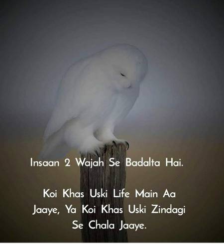 osam words