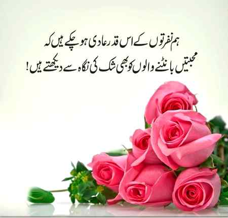 Right??? . 🌷🌷🌷🌷🌼🌼🌼