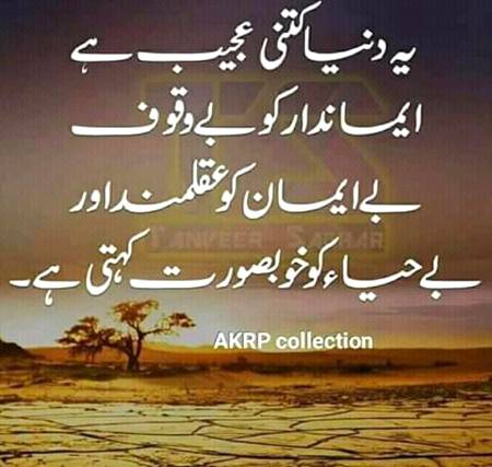 sahi he naa yehi dastoor chel raha naa fndsss.
