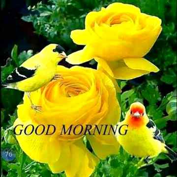 Assalam Alaikum!
