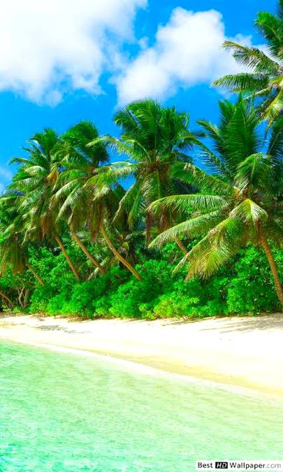 green beach