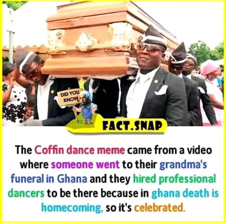 Unbelievable facts 💥💥