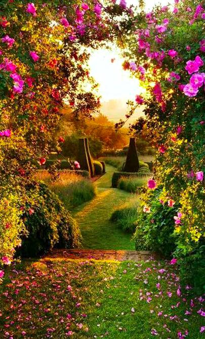 Beauty of nature