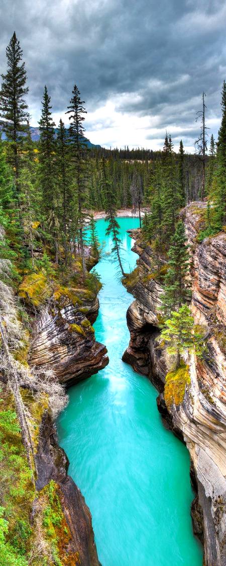 Alberta View,Canada