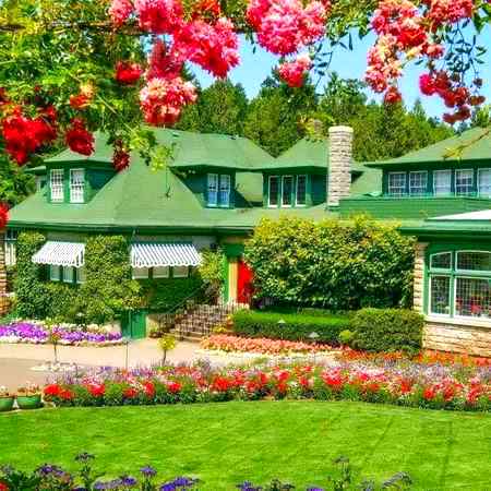 Wao beatifull house