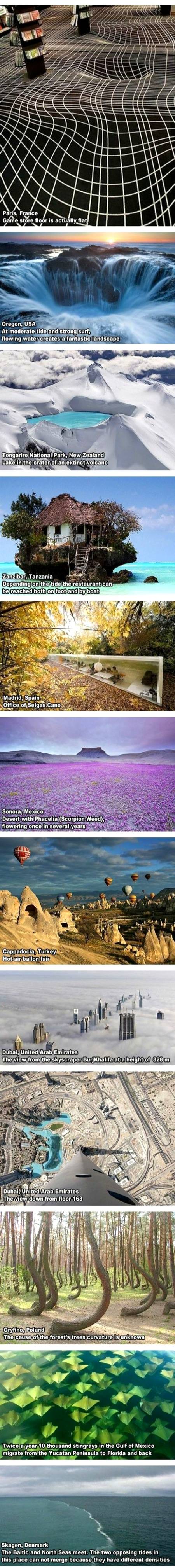 Some amazing and weird facts about different places