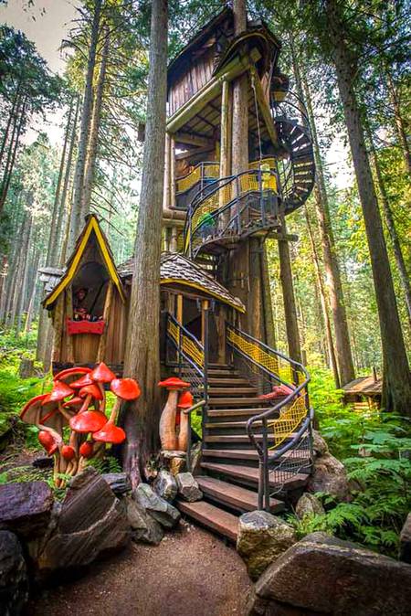Wood home present in forest.. Amazing 👌🏻 attraction 🔥