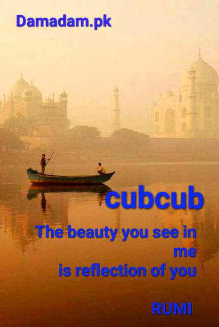 Rumi's words