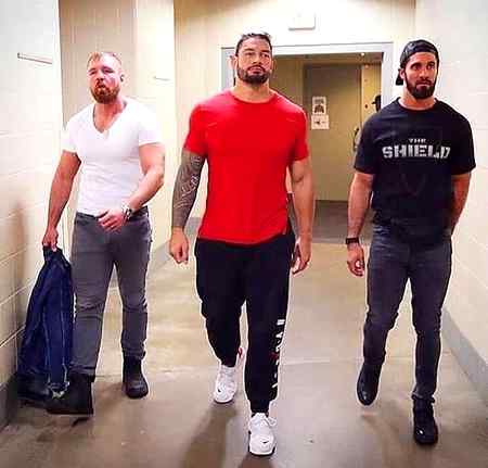The shield ☠☠💀💀