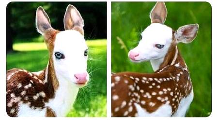 Allah is a best creator