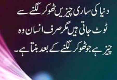 Insan hn sb🙂
