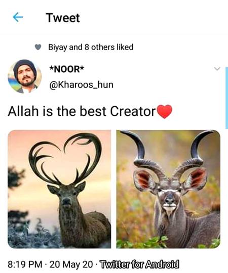 ...❤❤❤...