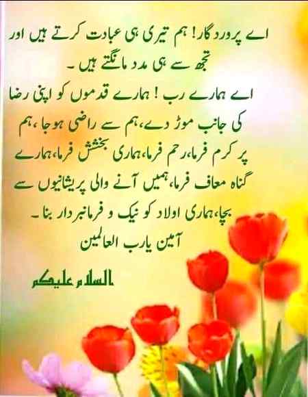Hlo friends
