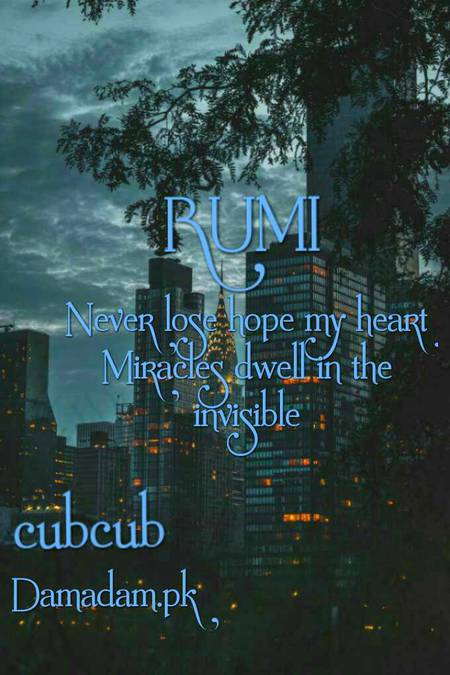 Rumi's words