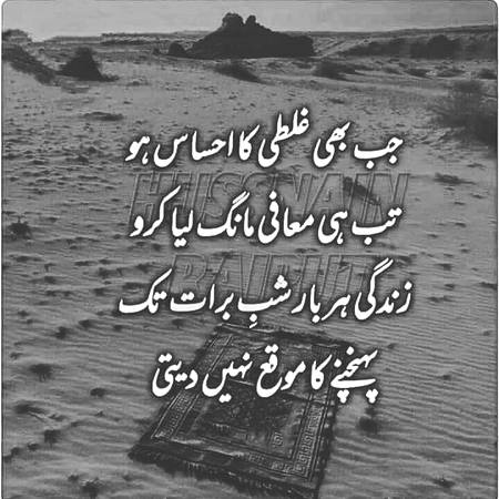 Bilkul bashak