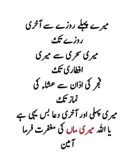 Ameen ❤❤