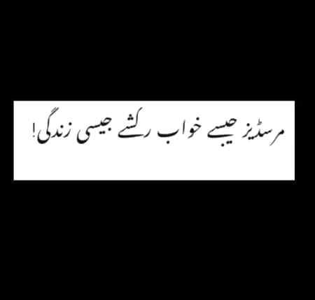 W. T.f yaar
