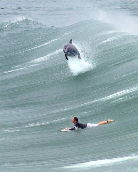 Photography 🔥🔥❄