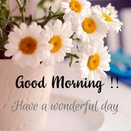 mOrning Alls