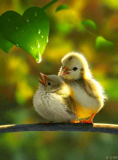 Nice photography.