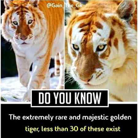 So beautiful MASHA ALLAH,😍