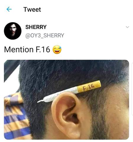 f 16 fighter piolot....