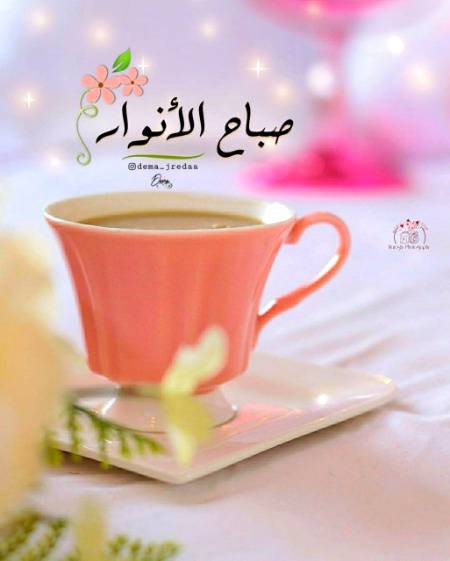 السلام علیکم ورحمتہ اللہ وبرکاتہ💫 

✨صباح النور🌸🌸🌸
🍂﷽🍃

🥀وَتُوبُوا إِلَى اللَّهِ جَمِيعاً أَيُّهَا الْمُؤْمِنُونَ لَعَلَّكُمْ تُفْلِحُونَ 🍂

✨ ترجمہ: اے مومنو! تم سب اللہ کی جانب رجوع کرو، تا کہ تم فلاح پا جاؤ💫

🥀النور:31