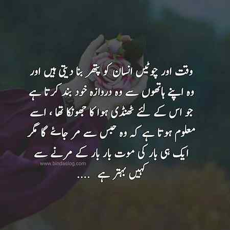 hlo friends